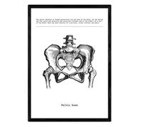 Nacnic Affiches anatomiques. Décoration murale de style vintage de bassin, des muscles et des os. Assortiment de photos en noir et blanc de l'anatomie humaine et des parties du corps. Taille A4.