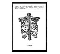 Nacnic Affiches anatomiques. Décoration murale de style vintage de cage thoracique, muscles et os. Assortiment de photos en noir et blanc de l'anatomie humaine. Taille A4.