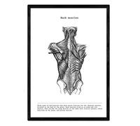 Nacnic Affiches anatomiques. Décoration murale de style vintage des arrières, des muscles et des os. Assortiment de photos en noir et blanc de l'anatomie humaine et des parties du corps. Taille A4.