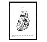 Nacnic Affiches anatomiques. Décoration murale de style vintage des coeur, des muscles et des os. Assortiment de photos en noir et blanc de l'anatomie humaine et des parties du corps. Taille A4