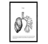 Nacnic Affiches anatomiques. Décoration murale de style vintage des poumons, des muscles et des os. Assortiment de photos en noir et blanc de l'anatomie humaine et des parties du corps. Taille A4.