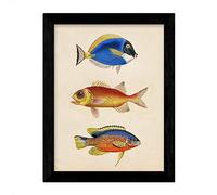 Nacnic Art Imprimer Oranges, Bleu et Jaune en taille A3, papier d'affichage de fond de papier vintage 250 GR Cadre