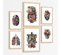 Nacnic Collection De 6 Affiches Anatomie Sombre Posters Et Tableaux Avec Cerveau Cœur Noir Poumons Crâne Côtes Et Intestins Design Floral Murale Médicale Taille A3 & A4 Cadre Noir
