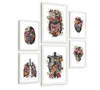 Nacnic Collection De 6 Affiches Anatomie Sombre Posters Et Tableaux Avec Cerveau Cœur Noir Poumons Crâne Côtes Et Intestins Design Floral Murale Médicale Taille A3 & A4 Cadre Blanc