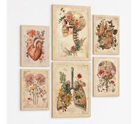 Nacnic Collection De 6 Affiches Anatomie Vintage Posters Et Tableaux Avec Cœur Crâne Poumons Reins Et Cerveau Fond Parchemin Floral Décoration Murale Médicale Taille A3 & A4 Sans Cadre