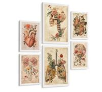 Nacnic Collection De 6 Affiches Anatomie Vintage Posters Et Tableaux Avec Cœur Crâne Poumons Reins Et Cerveau Fond Parchemin Floral Décoration Murale Médicale Taille A3 & A4 Cadre Blanc