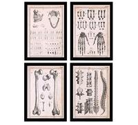 Nacnic Ensemble de 4 affiches d'anatomie humaine Colonne vertébrale mains et mâchoire Illustrations de biologie et de médecine dans un style vintage Conception A4 avec cadre noir