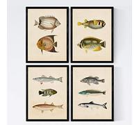 Nacnic Ensemble de 4 feuilles d'effet vintage de poisson coloré. Composition de 10 poissons différents en taille A3, Vintage Vieux Papier Papier d'affiche 250 GR Cadre