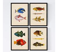 Nacnic Ensemble de 4 Feuilles d'effet Vintage de Poisson coloré. Composition de 10 Poissons différents en Taille A3, Vintage Vieux Papier Papier d'affiche 250 GR Cadre