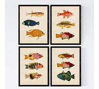 Nacnic Ensemble de 4 Feuilles d'effet Vintage de Poisson coloré. Composition de 12 Poissons différents en Taille A4, arrière-Plan Ancien Papier Vintage Affiche 50 Gras