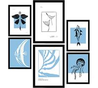 Nacnic Ensemble de 6 affiches à l'encre noire. Poissons rares. Impressions artistiques de la mer et de l'océan pour l'aménagement intérieur et la décoration. A3 et A4, sans cadres.