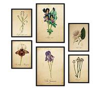 Nacnic Ensemble de 6 affiches de fleurs vintage. Collection de plaques avec collage esthétique pour la décoration d'intérieur. Tailles A3 et A4. Sans cadre.