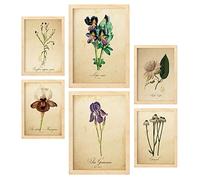 Nacnic Ensemble de 6 affiches de fleurs vintage. Collection de plaques avec collage esthétique pour la décoration d'intérieur. Tailles A3 et A4. Avec cadre en bois.