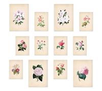Nacnic Ensemble d'impressions de fleurs roses exquises - 12 pièces | Style mixte | A3 et A4 | Pas de cadres, seulement des impressions | Impressions d'art mural affiche décoration murale