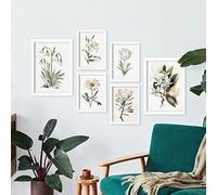 Nacnic Fleurs blanches Affiches. Illustrations Nature et Botanique en Couleur avec des Thèmes Floraux sur des Arrière-plans Blancs Purs. Design d'intérieur et décoration. A4 & A3 Cadres blancs.