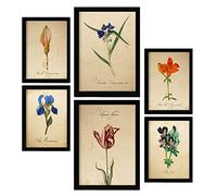 Nacnic Fleurs Bleues Affiches. Illustrations Nature et Botanique en Couleur avec des Thèmes Floraux dans un Style de Papier Vintage. Design d'intérieur et décoration. A4 & A3.