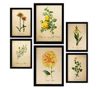 Nacnic Fleurs Jaunes Affiches. Illustrations Nature et Botanique en Couleur avec des Thèmes Floraux dans un Style de Papier Vintage. Design d'intérieur et décoration. A4 & A3 Cadres noirs.