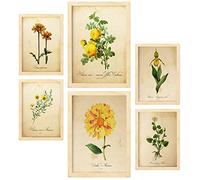 Nacnic Fleurs Jaunes Affiches. Illustrations Nature et Botanique en Couleur avec des Thèmes Floraux dans un Style de Papier Vintage. Design d'intérieur et décoration. A4 & A3 Cadres en bois.