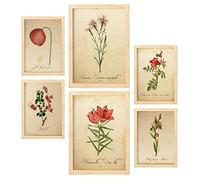 Nacnic Fleurs Rouges Affiches. Illustrations Nature et Botanique en Couleur avec des Thèmes Floraux dans un Style de Papier Vintage. Design d'intérieur et décoration. A4 & A3 Cadres en bois.