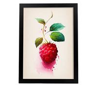 Nacnic Framboise Affiche dans le style aquarelle Fruits Illustration Fond blanc Impressions d'art mural pour maison, cuisine, salon Design d'intérieur Décoration. Model 1, A4