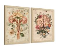 Nacnic Lot De 2 Affiches Anatomie Féminine Posters Et Tableaux Avec Cerveau Et Utérus Design Botanique Rétro Vintage Floral Décoration Murale Médicale Taille A4 Cadre En Bois Léger