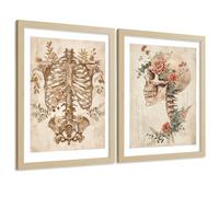 Nacnic Lot De 2 Affiches Anatomie Humaine Posters Et Tableaux Avec Squelette Crâne Colonne Vertébrale Côtes Bassin Style Classique Décoration Murale Médicale Taille A3 Sans Cadre