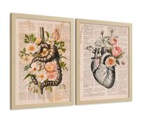 Nacnic Lot De 2 Affiches Anatomie Humaine Posters Et Tableaux Avec Système Digestif Intestins Et Cœur Design Classique Floral Décoration Murale Médicale Taille A4 Sans Cadre