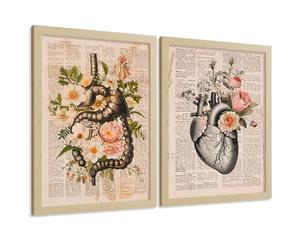 Nacnic Lot De 2 Affiches Anatomie Humaine Posters Et Tableaux Avec Système Digestif Intestins Et Cœur Design Classique Floral Décoration Murale Médicale Taille A4 Sans Cadre