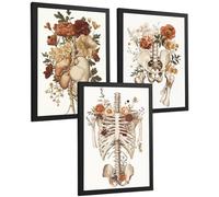 Nacnic Lot De 3 Affiches Anatomie Humaine Florale Vintage Posters Et Tableaux Avec Cœur Cage Thoracique Et Bassin Décoration Murale Médicale Taille A3 Cadre Noir