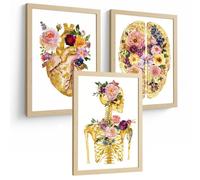 Nacnic Lot De 3 Affiches Anatomie Humaine Posters Et Tableaux Avec Cœur Cerveau Et Squelette Design Floral Doré Élégant Décoration Murale Médicale Taille A3 Sans Cadre