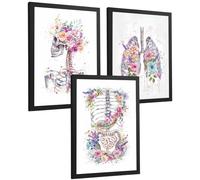 Nacnic Lot De 3 Affiches Anatomie Posters Et Tableaux Décoratifs Avec Squelette Crâne Colonne Vertébrale Côtes Poumons Et Système Digestif Floral Décoration Médicale Taille A4 Cadre Noir