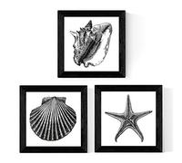 Nacnic Lot de 3 feuilles ANIMAUX MARINS EN NOIR ET BLANC. taille 25x25