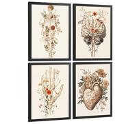 Nacnic Lot De 4 Affiches Anatomie Humaine Posters Décoratifs Et Tableaux Avec Fleurs Corps Entier Cerveau Main Et Cœur Style Moderne Décoration Murale Médicale Taille A3 Cadre Noir