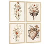 Nacnic Lot De 4 Affiches Anatomie Humaine Posters Décoratifs Et Tableaux Avec Fleurs Corps Entier Cerveau Main Et Cœur Style Moderne Décoration Murale Médicale Taille A4 Sans Cadre