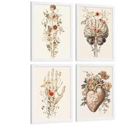 Nacnic Lot De 4 Affiches Anatomie Humaine Posters Décoratifs Et Tableaux Avec Fleurs Corps Entier Cerveau Main Et Cœur Style Moderne Décoration Murale Médicale Taille A4 Cadre Blanc