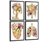 Nacnic Lot De 4 Affiches Anatomie Humaine Posters Et Tableaux Avec Crâne Squelette Cœur Et Poumons Dorés Décoration Murale Médicale Taille A4 Black Frame