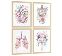Nacnic Lot De 4 Affiches Anatomie Humaine Posters Et Tableaux Avec Cœur Cerveau Poumons Trachée Bronches Colonne Vertébrale Design Floral Aquarelle Décoration Médicale Taille A3 Sans Cadre