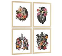 Nacnic Lot De 4 Affiches Anatomie Posters Et Tableaux Décoratifs Avec Cerveau Cœur Poumons Système Respiratoire Côtes Colonne Vertébrale Design Floral Décoration Médicale Taille A3 Cadre En Bois Léger