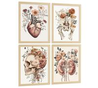 Nacnic Lot De 4 Affiches Anatomie Posters Et Tableaux Décoratifs Avec Cœur Reins Crâne Et Bassin Style Botanique Élégant Décoration Murale Médicale Taille A4 Sans Cadre