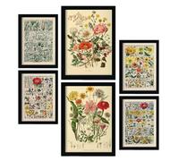 Nacnic Lot de 6 Anatomie des fleurs Affiches. Dans Imprimés vintage. Impressions décoratives esthétiques pour votre salon, chambre, maison Tailles A4 et A3