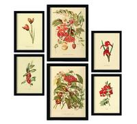 Nacnic Lot de 6 Fleurs rouges Affiches. Dans Imprimés vintage. Impressions décoratives esthétiques pour votre salon, chambre, maison Tailles A4 et A3