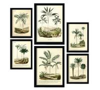 Nacnic Lot de 6 Palmiers Affiches. Dans Imprimés vintage. Tableaux décoratifs esthétiques pour votre salon, chambre, maison Tailles A4 et A3 avec des cadres noirs