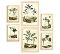 Nacnic Lot de 6 Palmiers Affiches. Dans Imprimés vintage. Tableaux décoratifs esthétiques pour votre salon, chambre, maison Tailles A4 et A3 avec des cadres de bois léger