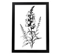 Nacnic Muflier Illustration d'affiche botanique de fleur noire et blanche Affiche d'art mural minimaliste nordique pour design d'intérieur Modèle 3 A4 avec cadre noir