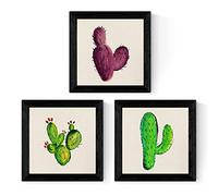 Nacnic Paquet de Trois Feuilles de Cactus. Affiches carrées avec des Images à l'aquarelle. Donnez à Votre Maison Une Touche Verte. Impressions de Cactus à encadrer. Format 20x20 cm sans Cadre.