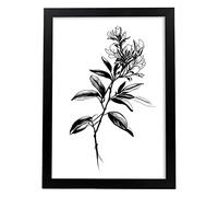 Nacnic Rhododendron Illustration d'affiche botanique de plantes de fleurs en noir et blanc Affiche d'art mural minimaliste nordique pour design d'intérieurTaille A4