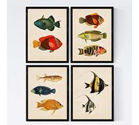 Nacnic Set 4 feuilles de poissons vintage effet coloré. Baleares. Composition de 10 poissons différents en taille A3, affiche vintage vieux papier de fond papier 250 g