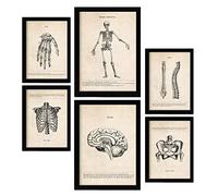 Nacnic Squelette Affiches. Illustrations Médicales de Style Vintage de l'anatomie, des Parties du Corps, des Os et des Muscles. Design d'intérieur et décoration. A4 & A3 Cadres noirs.