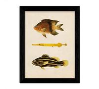 Nacnique art imprimé jaune, marron et noir en taille A4, papier d'affichage de fond de papier vintage 250 gr cadre