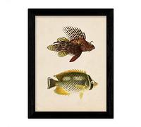 Nacnique Deux poissons brun, jaune et vert en taille A4, papier d'affiche de fond de papier vintage 250 gr tableau